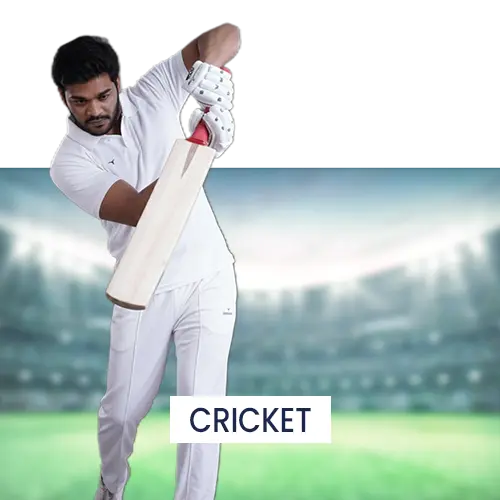 Cricket
