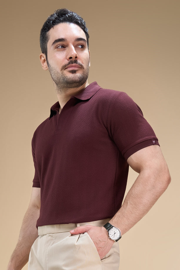 Men Richcott Cotton Regular Fit Self-Textured Polo T-Shirt