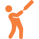 Cricket